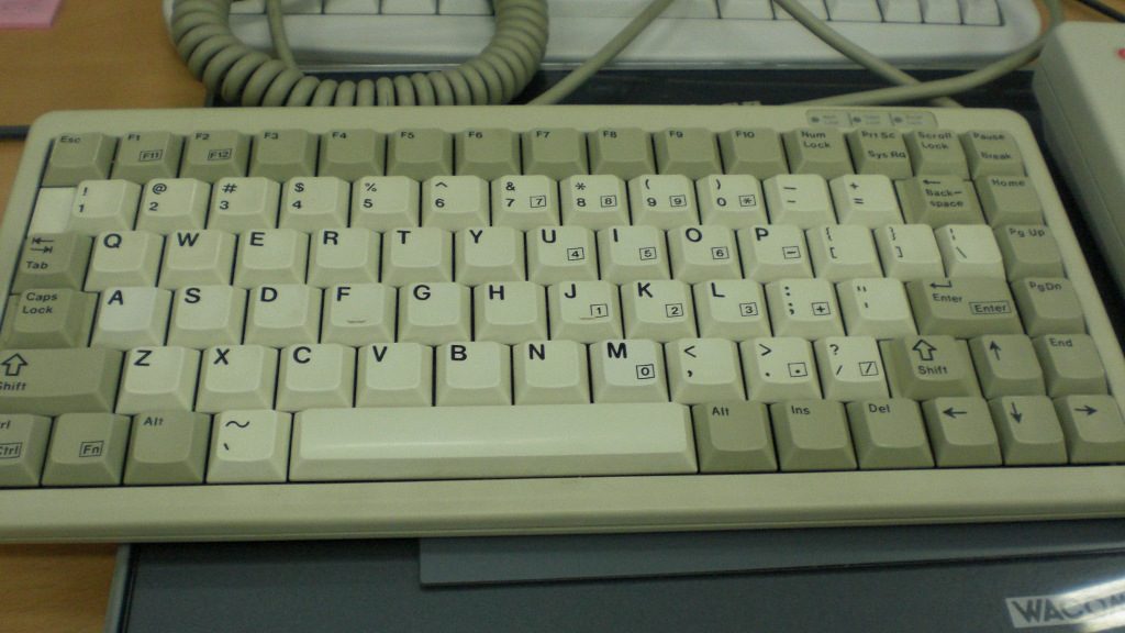 CIMG0776.JPG