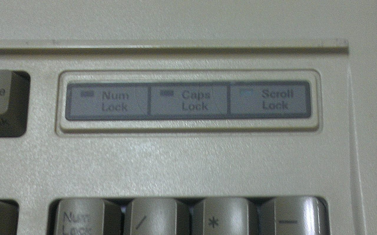 NEC01.jpg