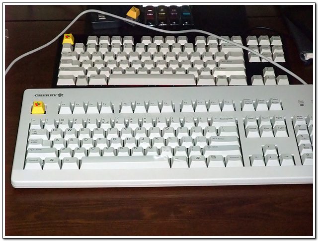 체리화이트.jpg