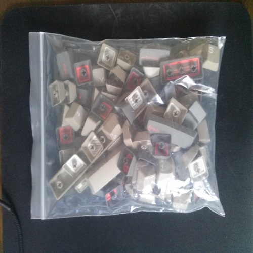 20140927_122308.jpg