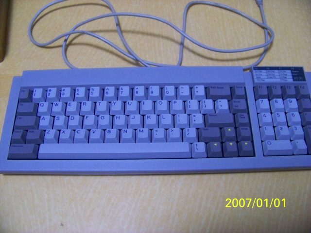 wyse100_0906.JPG