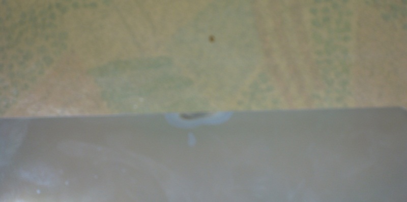 DSCN0123.JPG