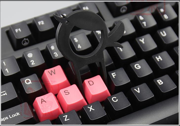 dk 2087.JPG