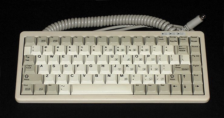4100.jpg