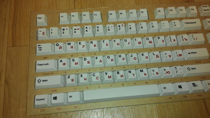 cut002.jpg