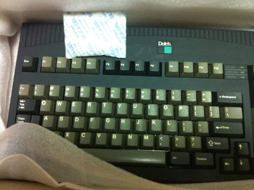 돌치6.jpg