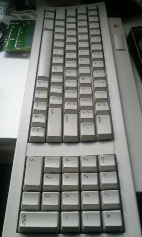 2011-04-29 07.40.23.jpg