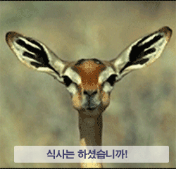 fee1c592c95f7c6460063003510c8417.gif : 케이맥 (LE,非LE) 원키 구해봅니다 fee1c592c95f7c6460063003510c8417.gif : 케이맥 (LE,非LE) 원키 구해봅니다