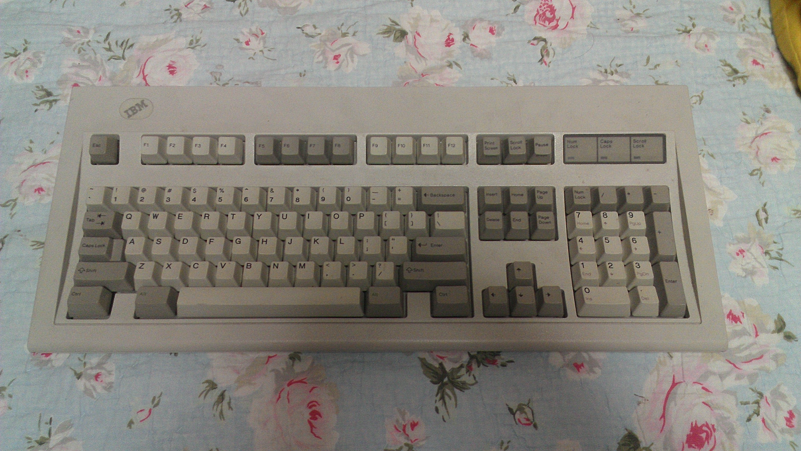 IMAG0022.jpg