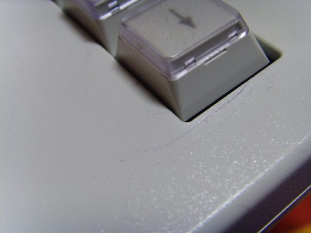 1SSL25313.JPG