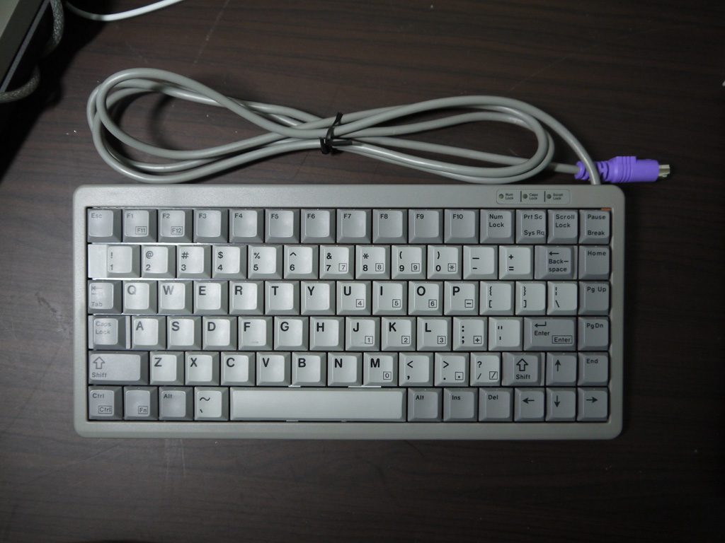 P1000203.JPG