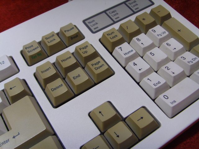 SSL25385.JPG