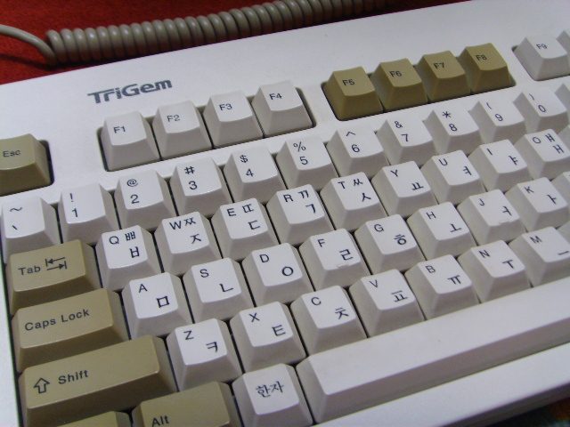 SSL25384.JPG