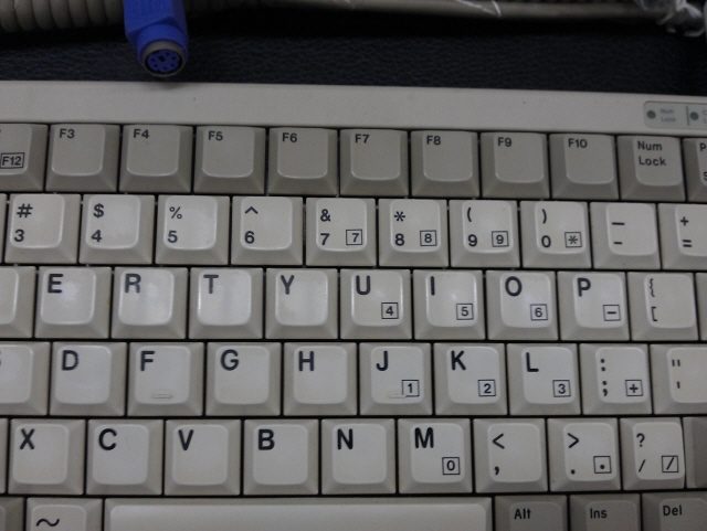IMAG0264.jpg