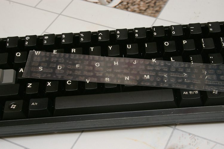 IMGP8809.JPG