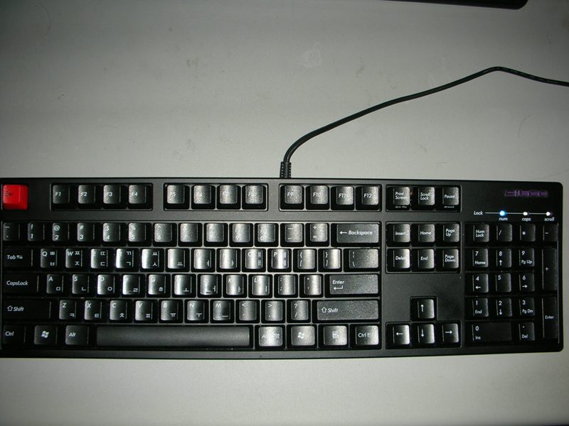 DSCN0562.jpg