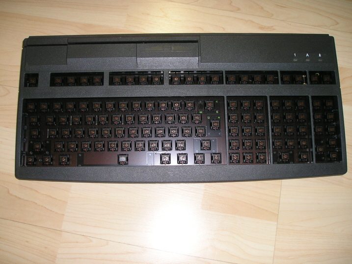 resized_P1010037.JPG
