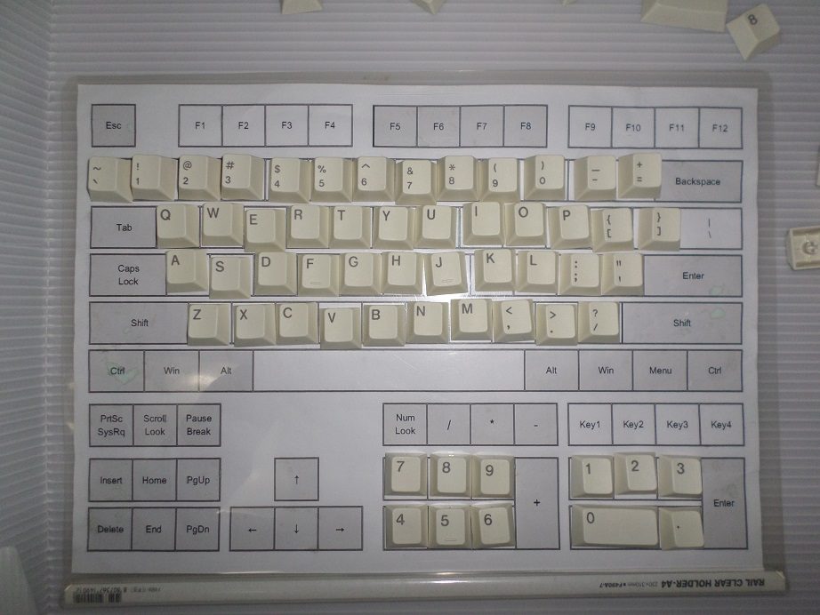 SAM_4250.jpg