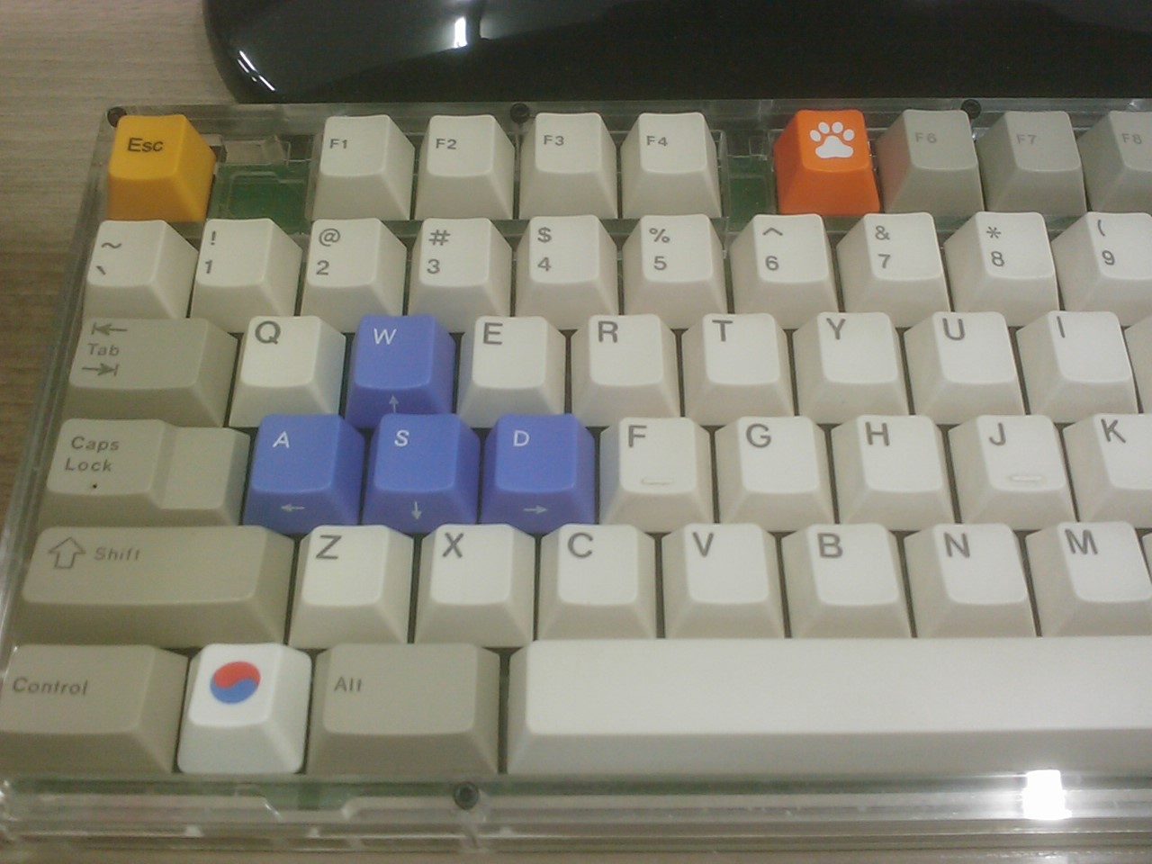 사진120724_004.jpg