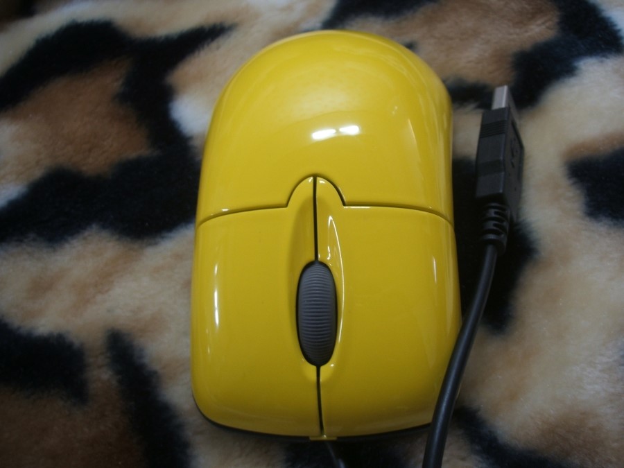 DSCF1343.jpg