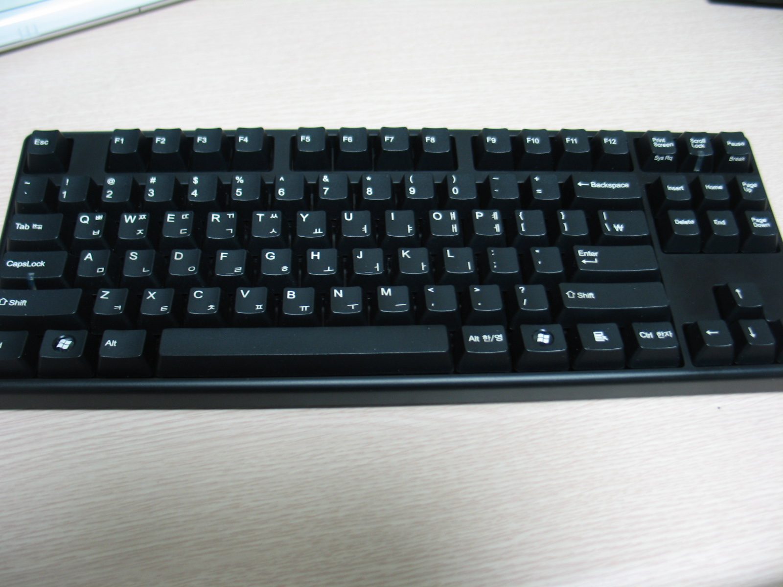 IMG_7450.JPG : 레오폴드 FC200R 텐키레스 청축(한글)