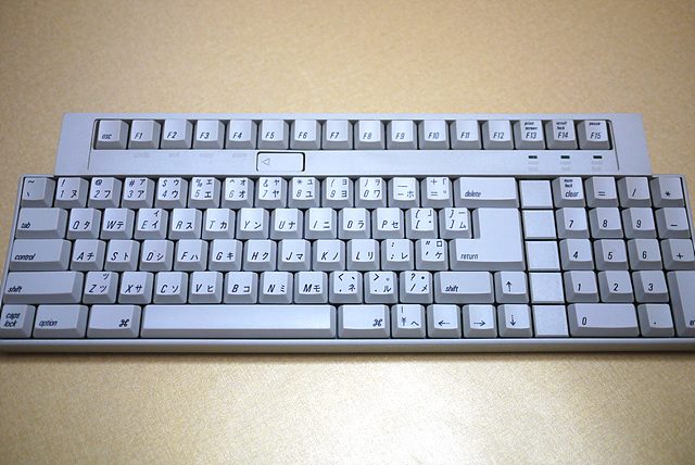 P1020930.jpg