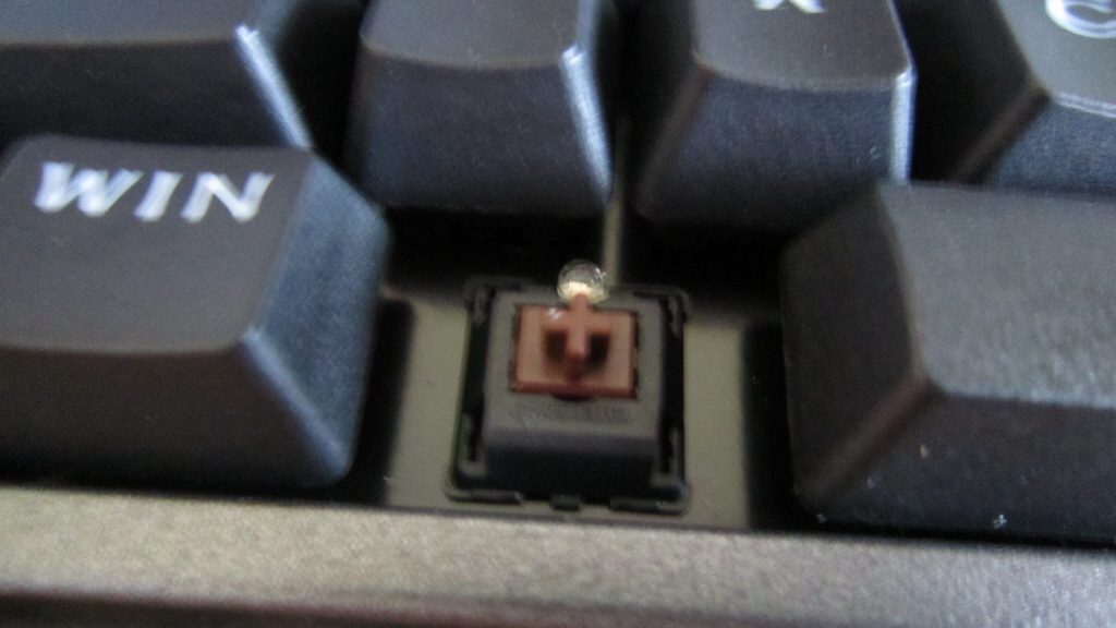 크기변환_IMG_3241.JPG