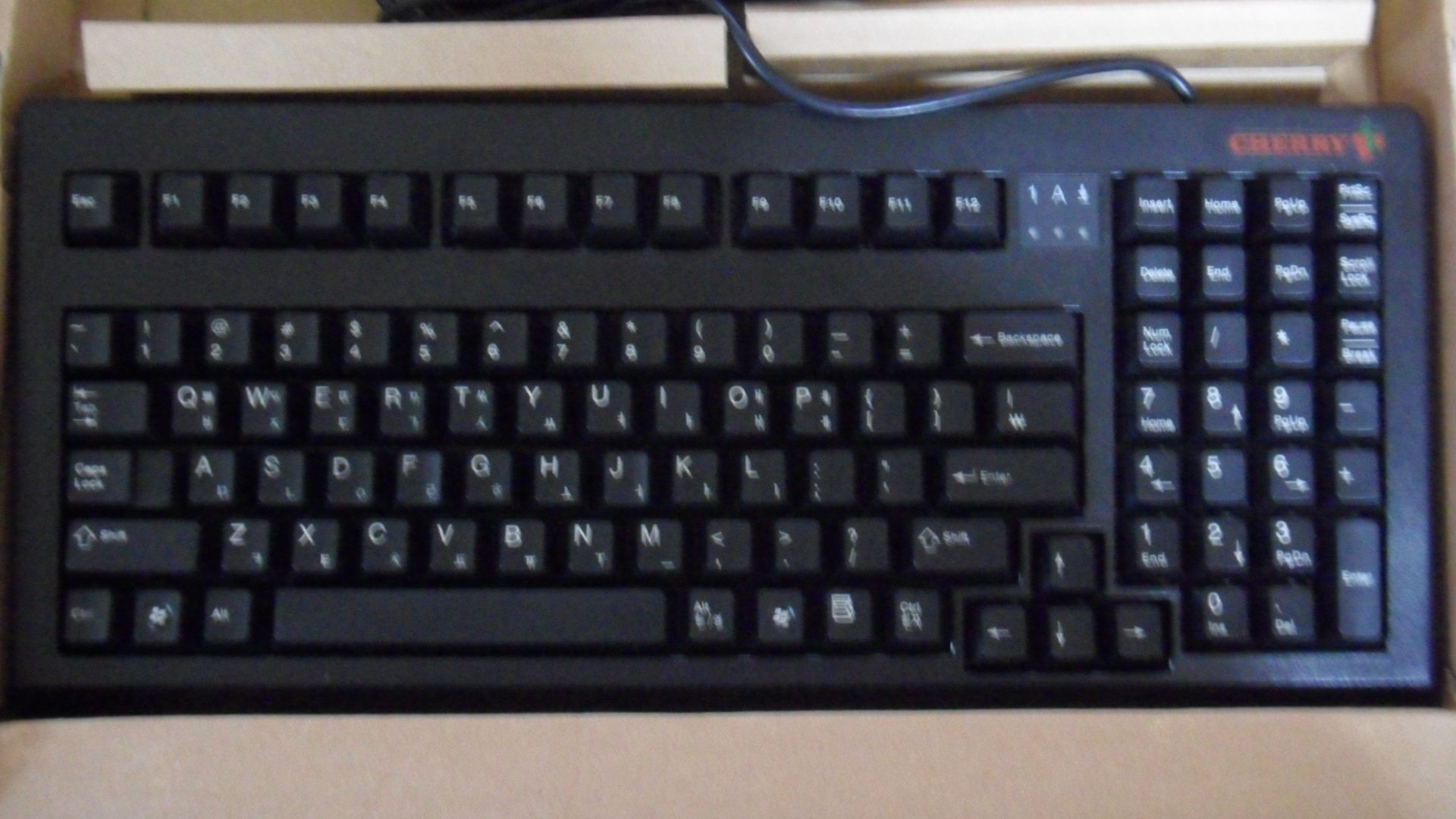 SAM_0485.JPG