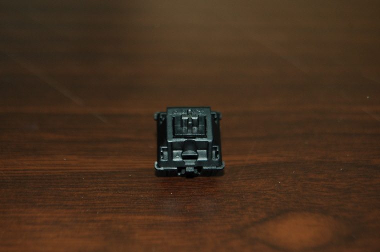 C_DSC_7539.JPG