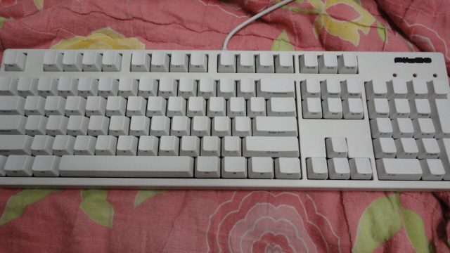 크기변환_DSC00541.JPG : [팜] 마제 닌자 흑축 풀배열 팝니다.