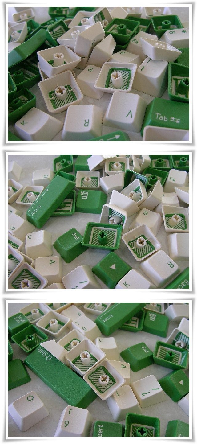 SANY0014-vert.jpg