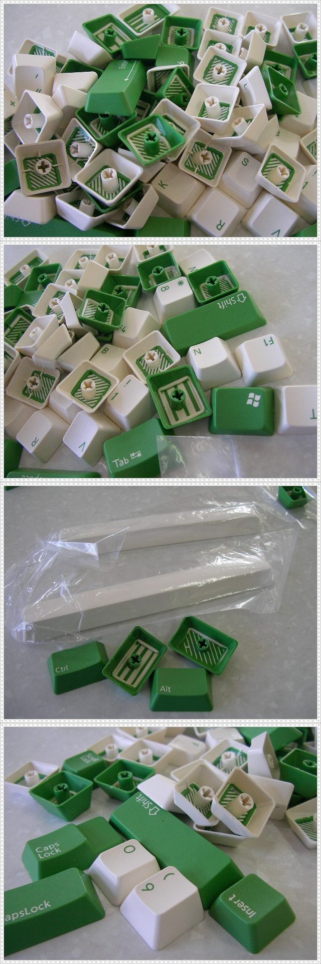 SANY0008-vert.jpg