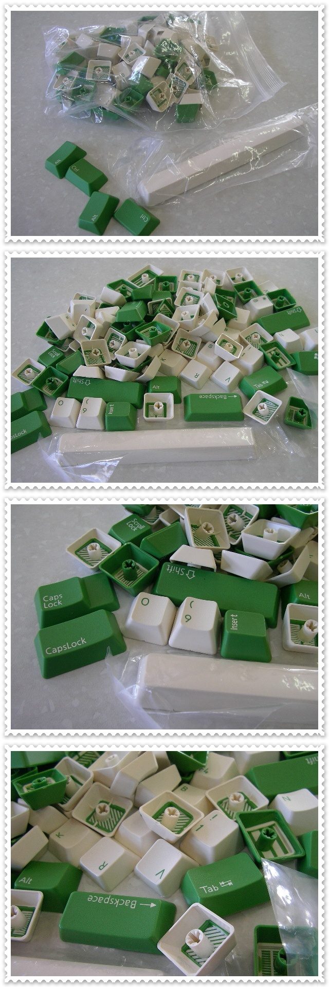 SANY0004-vert.jpg
