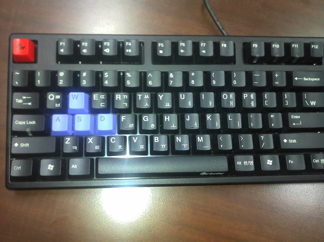 Ducky_1.jpg