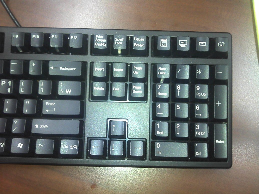 Ducky_2.jpg