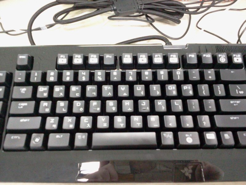 01.jpg