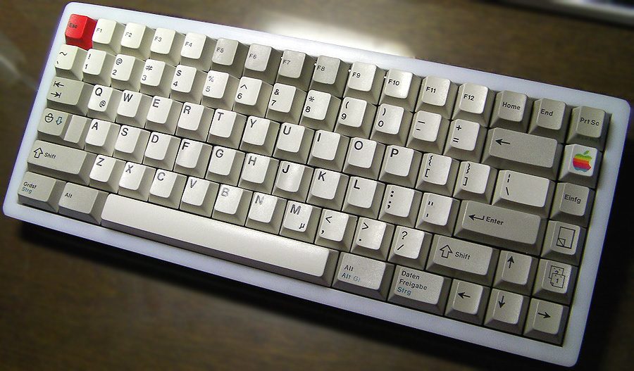 97fb3d25e41eebd1dd1ac43b4f669081.jpg