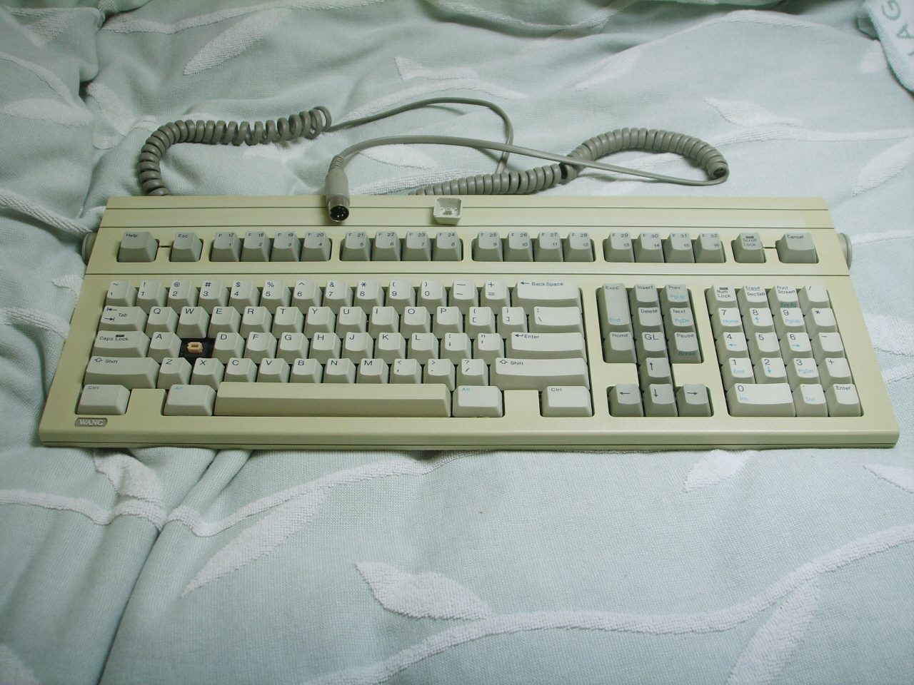 SSM11697.JPG