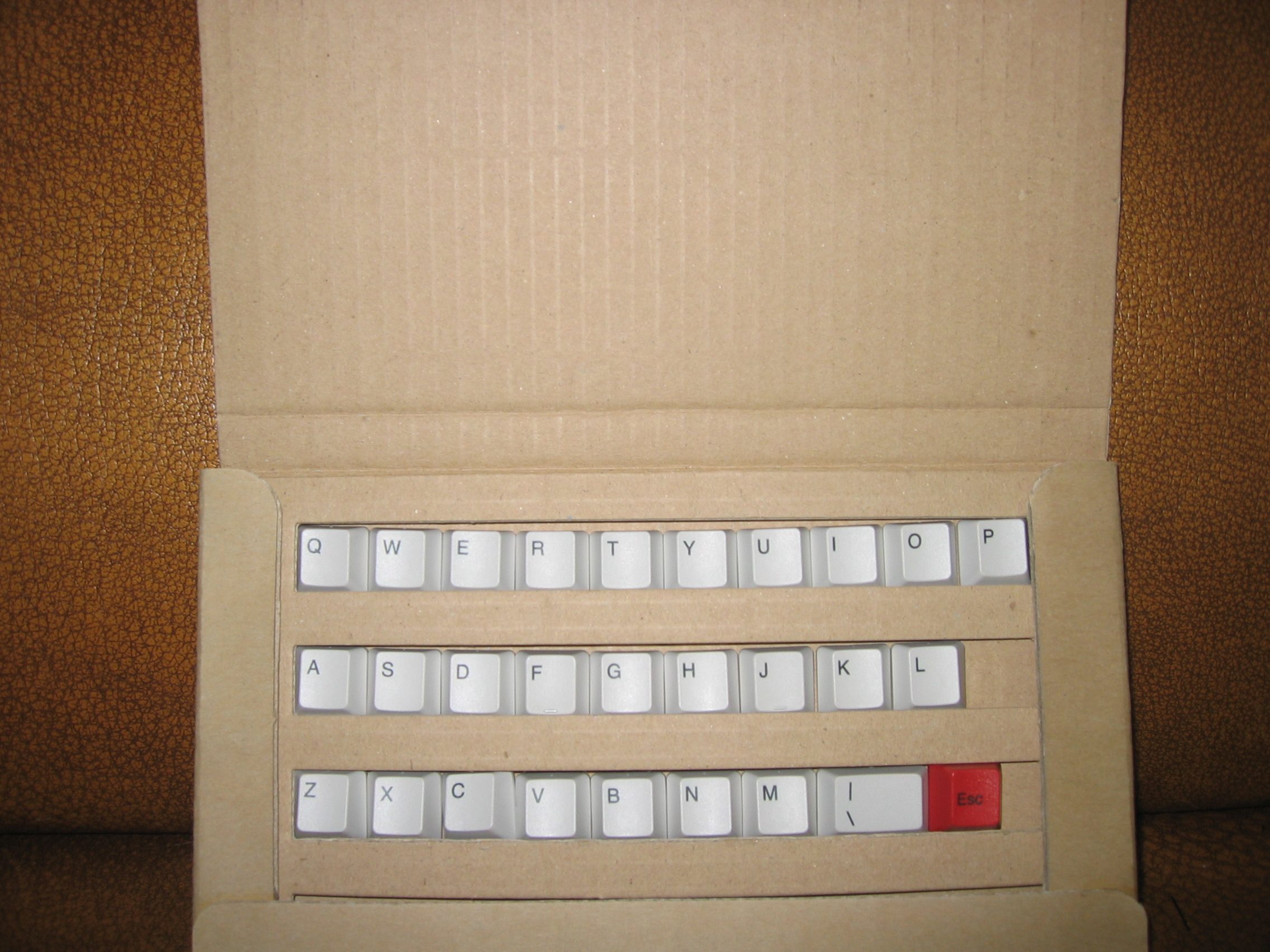 100_0003.JPG