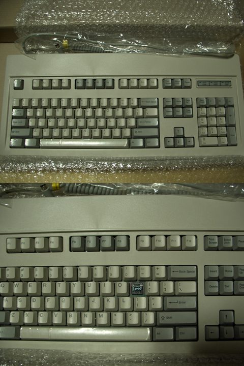 NEC.jpg