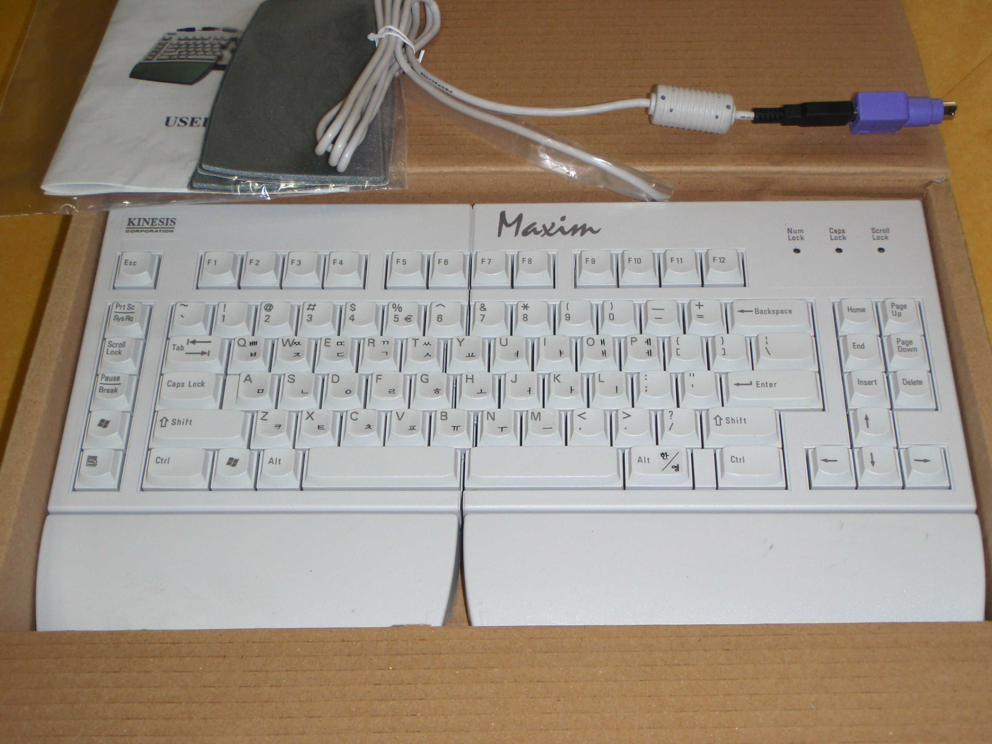 P5100156(1).JPG