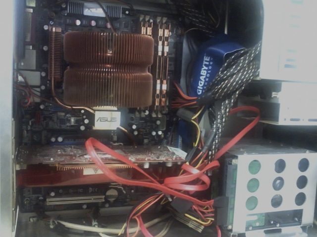 sertw456gvw56v.jpg