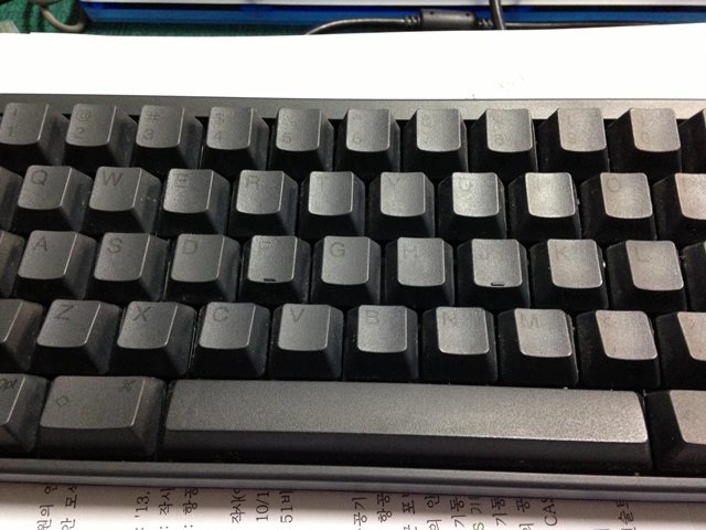 IMG_0195.jpg : 레이스 화이트, 해피2 백무각, 해피1 먹각 팝니다. IMG_0195.jpg : 레이스 화이트, 해피2 백무각, 해피1 먹각 팝니다.