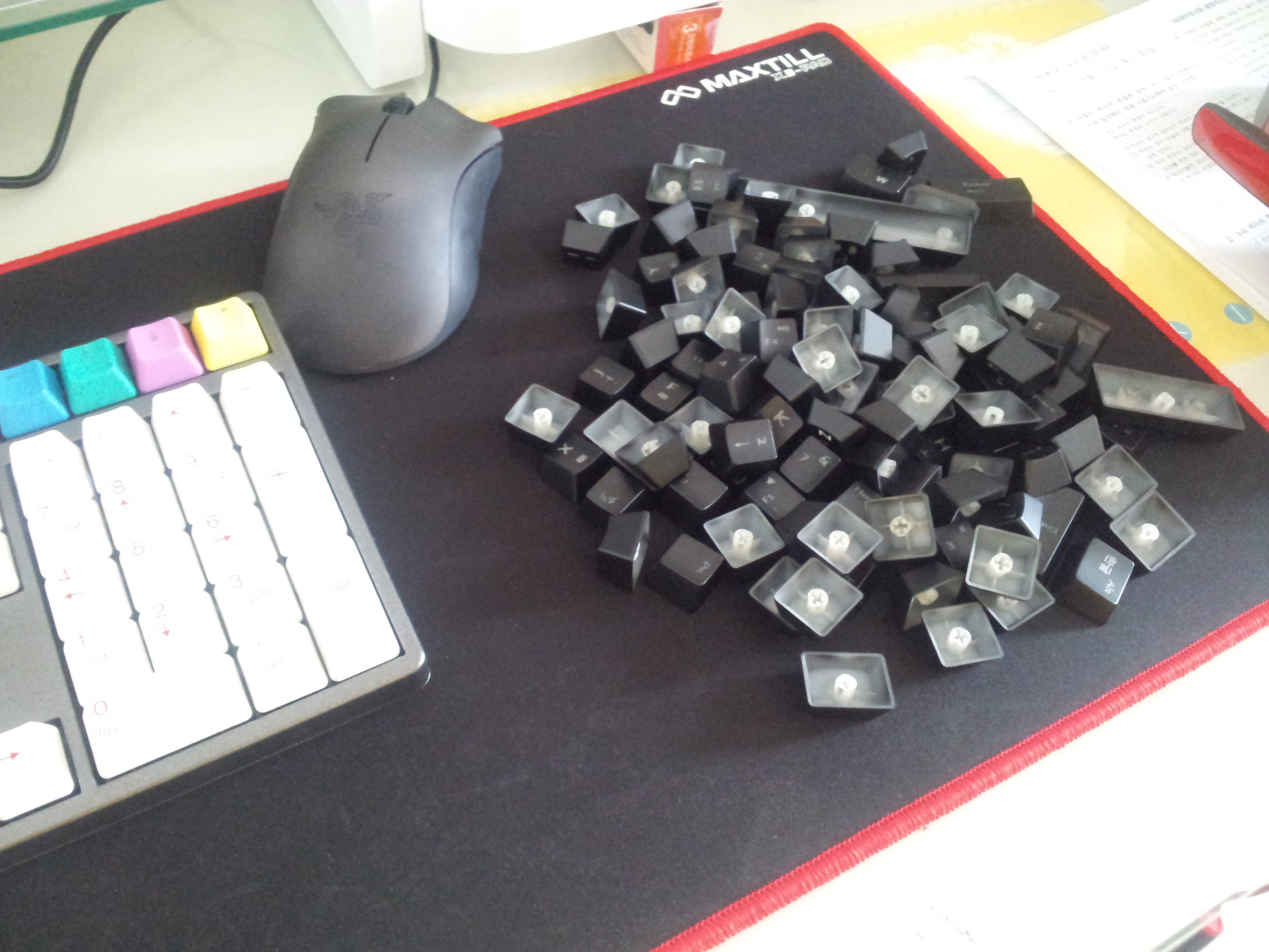 20140923_140239.jpg