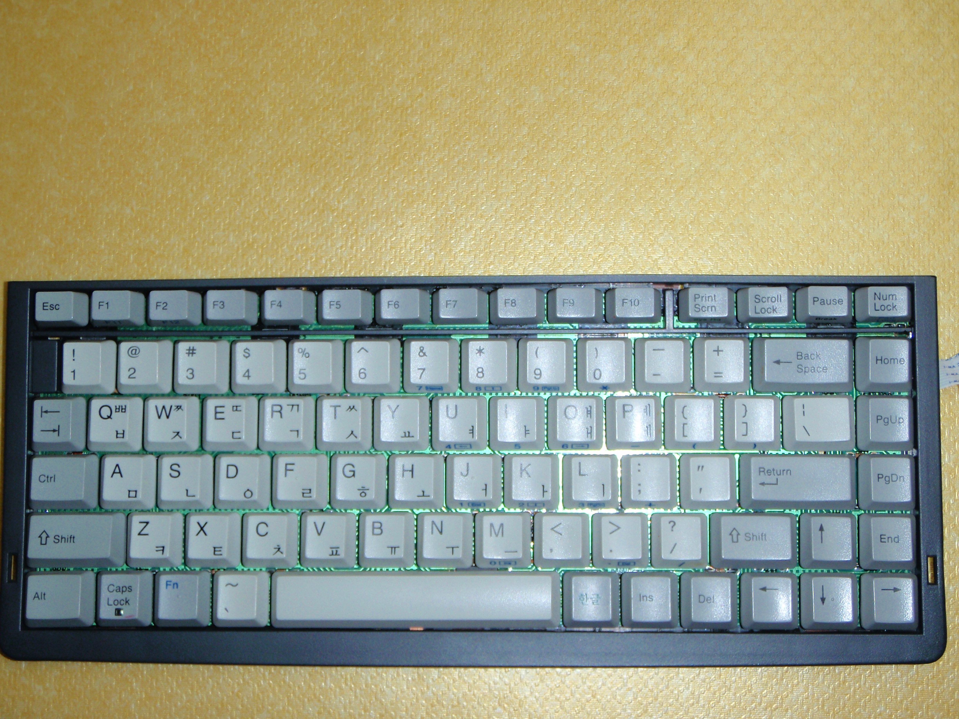 P6090161.JPG