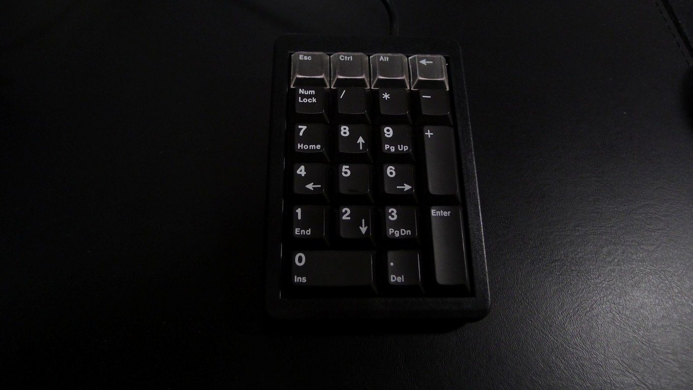 P1010507 (Medium).JPG