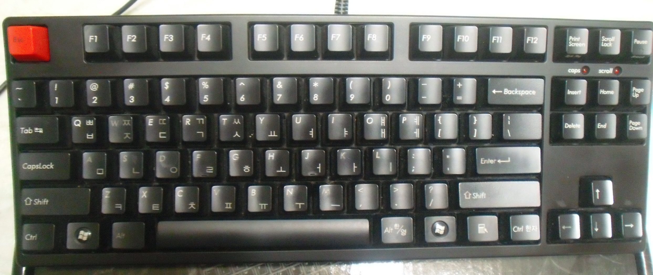 CIMG0065.JPG