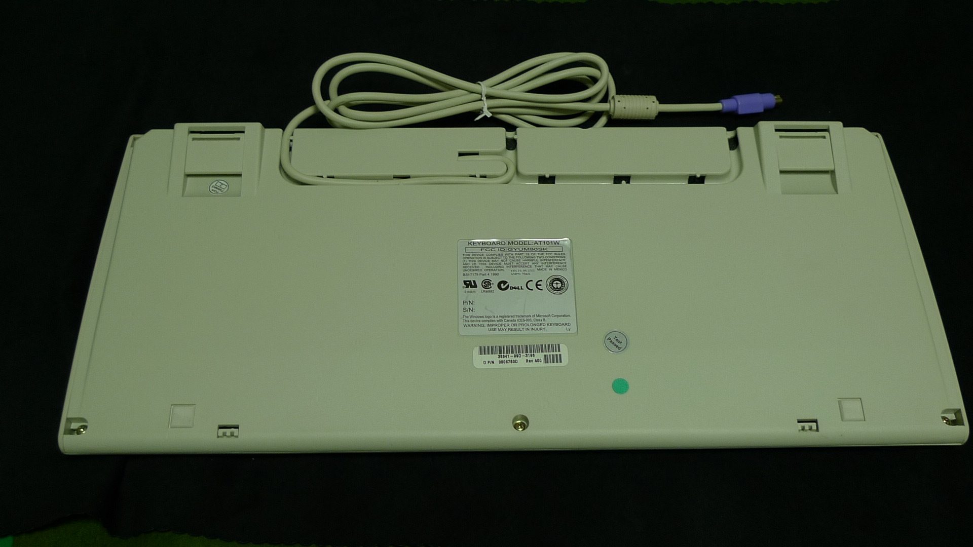 P1010276.JPG
