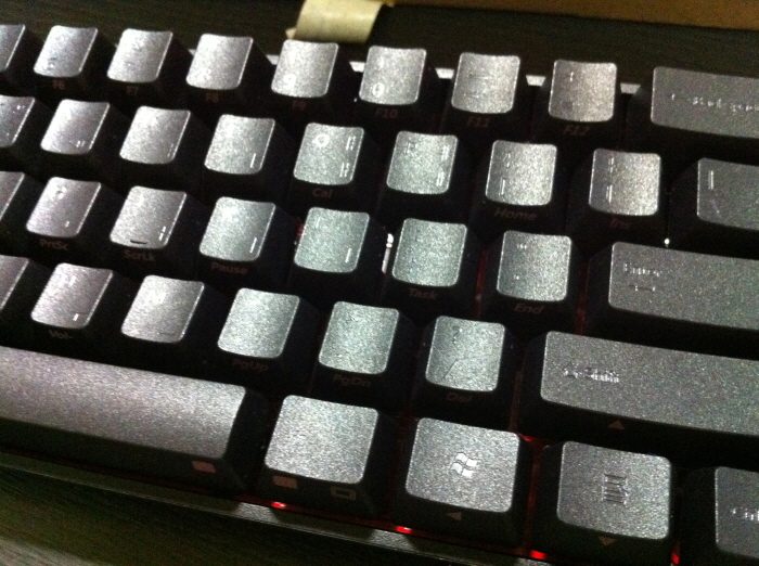 크기변환_IMG_1163.JPG