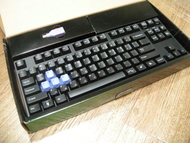 z.JPG